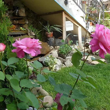 Anhea 2* ヴェリコ・タルノヴォ