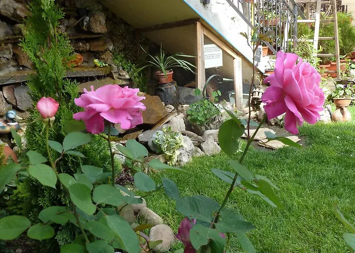 Anhea 2* Veliko Tărnovo